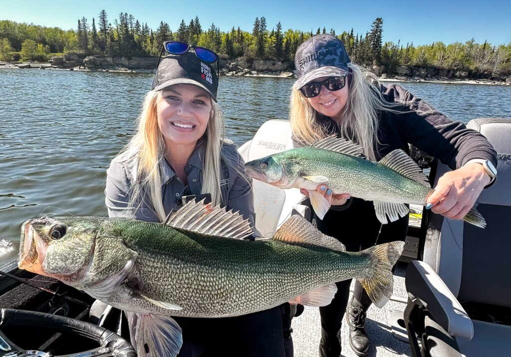 Trophy Walleye Fishing Manitoba Hecla