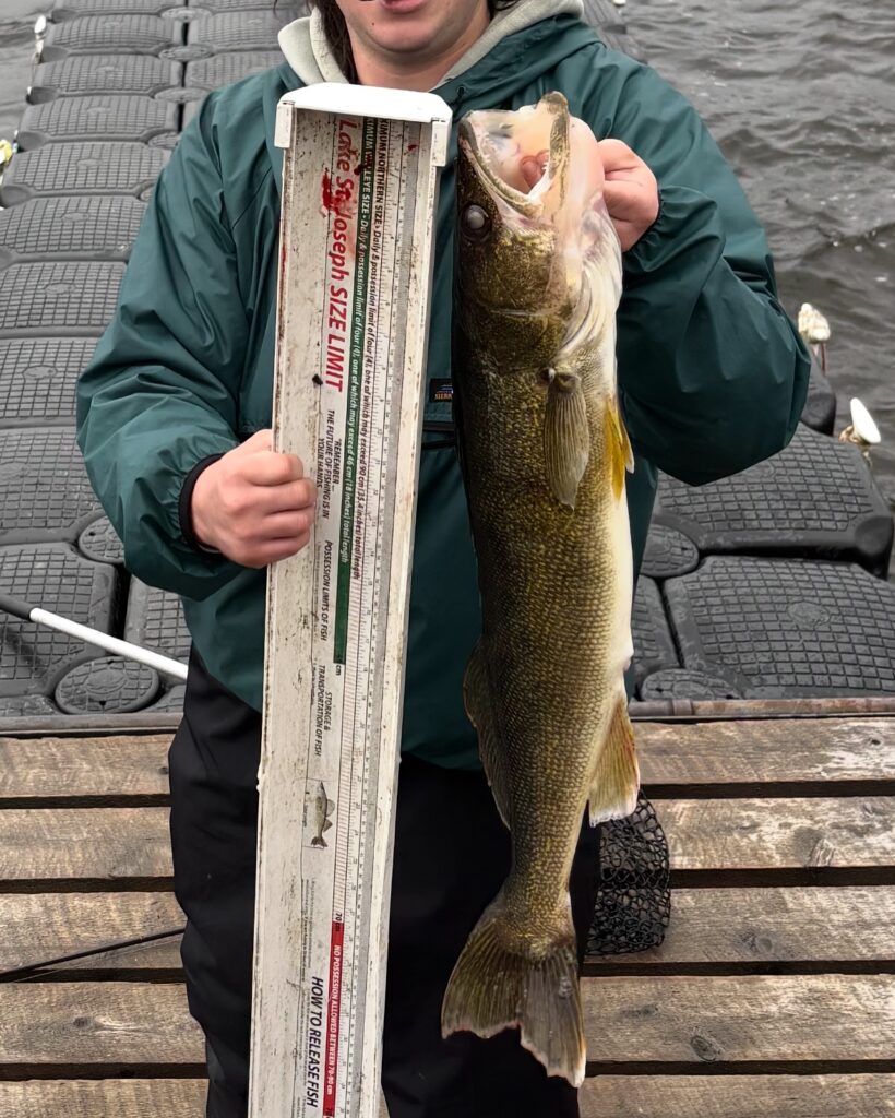 31" Camp Lake. St. Joseph Dock Walleye