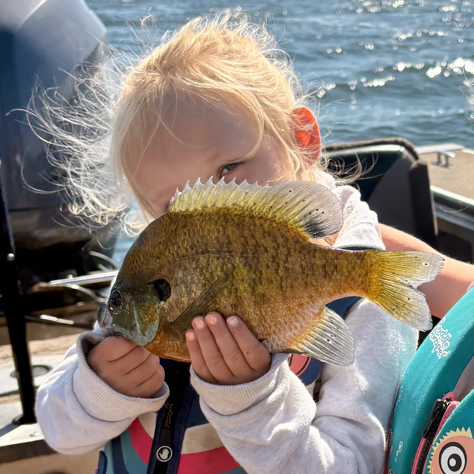 Young girl holding a big sunfish caught on Big Turtle Lake near Kohl’s Resort in Minnesota