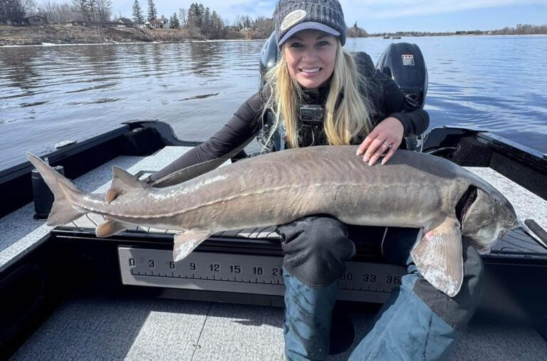 Rainy River Trophy Lake Sturgeon