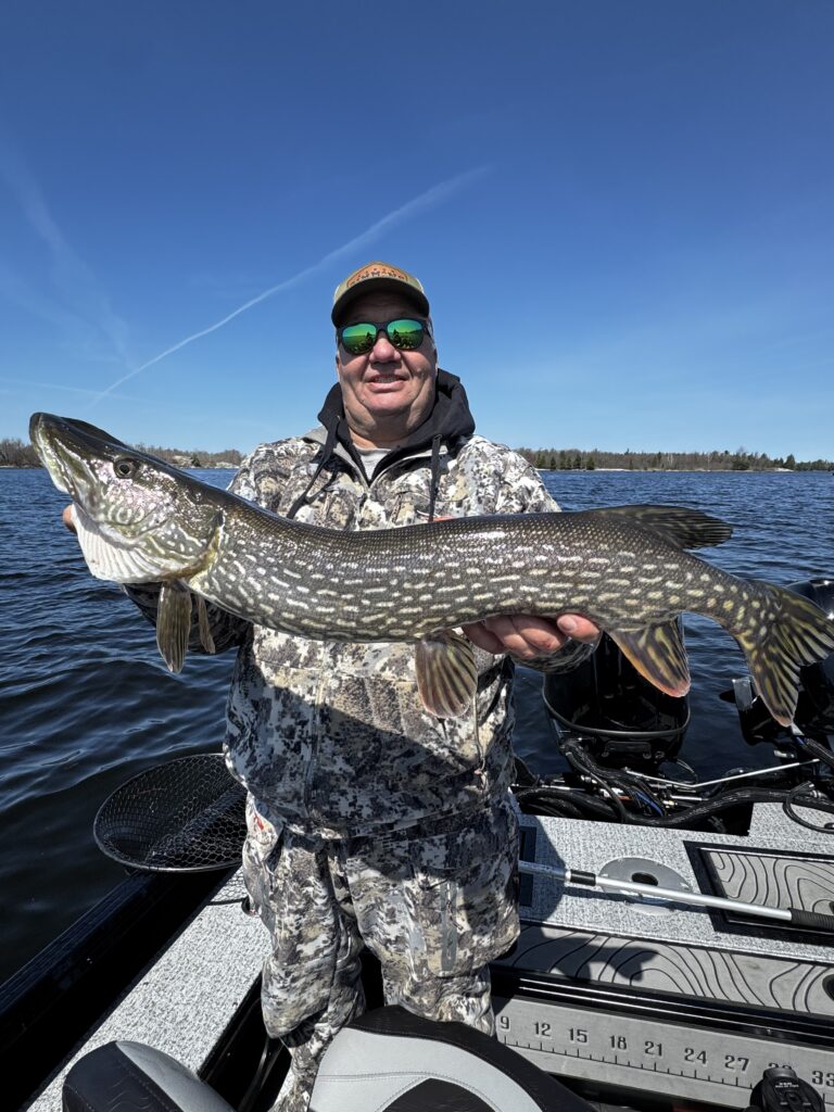 Walleye Fishing Northern MN