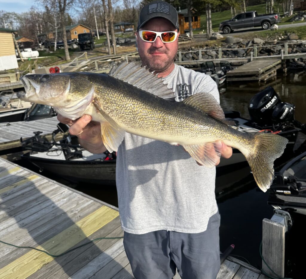 Big Walleye at Driftwood Lodge Resort on Lake Kabetogama