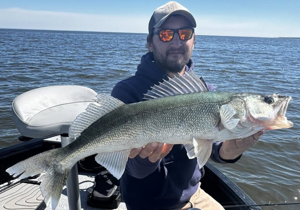 Lake Winnipeg Trophy Walleye Fishing in Spring