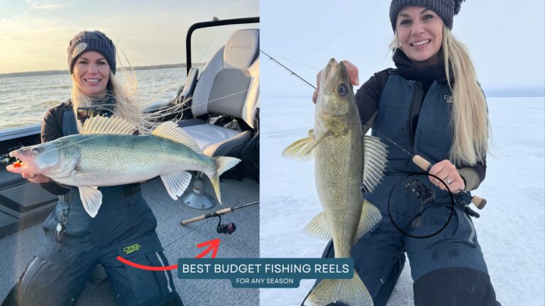 Best Budget Fishing Reels