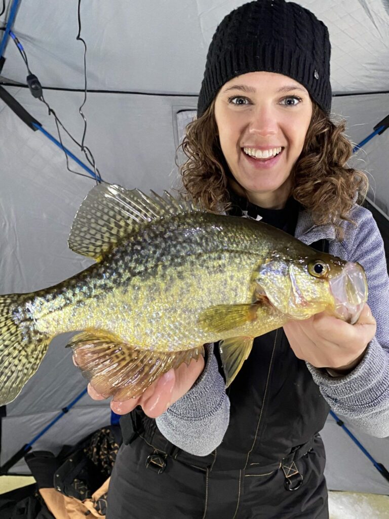 Giant crappie caught ice fishing