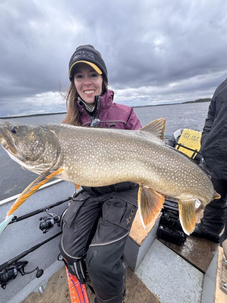 Angler with a big lake trout on a trophy lake trout fishing trip to Kamuchawie Lake
