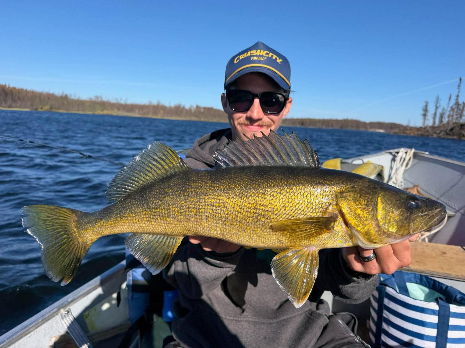 Golden Kamuchawie Lake walleye held across the boat on a bluebird day